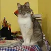 Отзыв от Дина Козловская